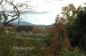 DSC_3796.jpg - 