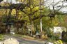 DSC_3807.jpg - 