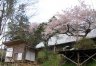 spring.jpg - 