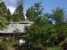 P5150644.jpg - 