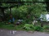 P5310048.jpg - 