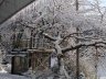 P1010006.jpg - 