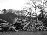 P3010260.jpg - 