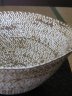 IMG_1402.jpg - 