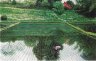 painting4.jpg - 
