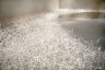 _D8P1679-Edit.jpg - 