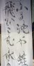 frogs4b.jpg - 