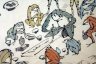 frogs5.jpg - 